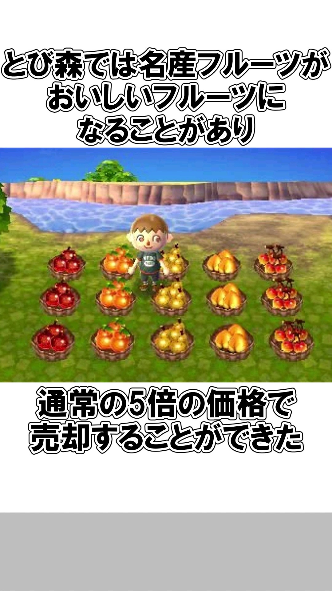 Trivia about New Leaf that the Animal Crossing generation probably