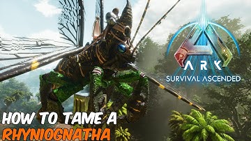 How to Tame a RHYNIOGNATHA with MAX LEVELS in ARK Survival Ascended