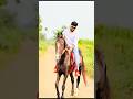 #horse #horses #horseriding #jocky #pune #race #stallion #mare #horselover @thehorsemedia3280