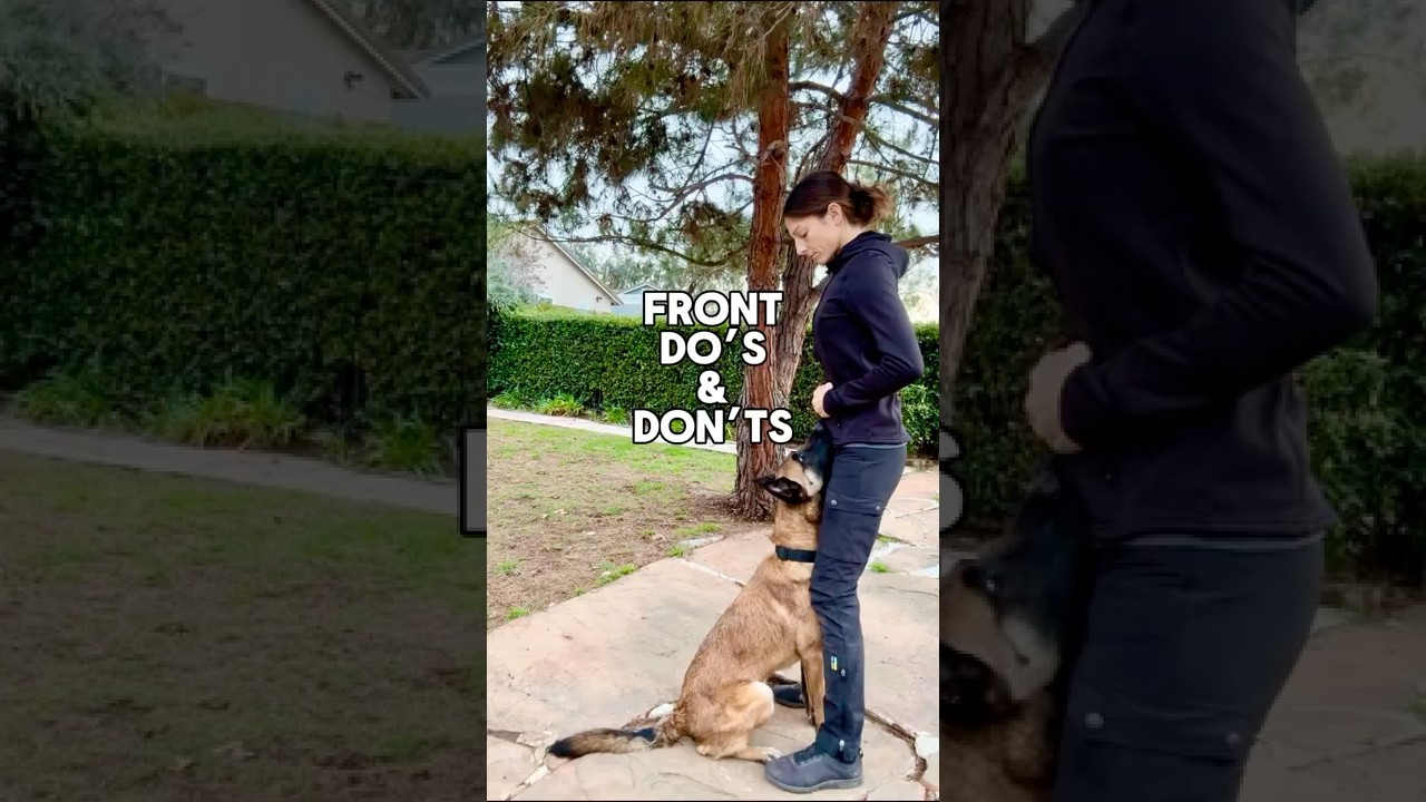 Do’s and don’ts teaching a contact front 