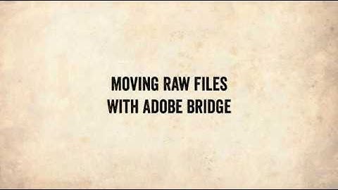 Copy Raw Files With Adobe Bridge