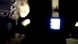 VID-20120415-00002