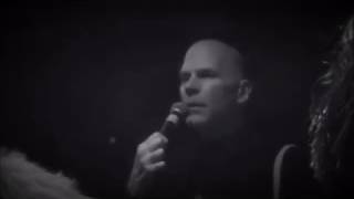 NIKOLAS SCHRECK on Finding Spiritual Balance in the Kali Yuga