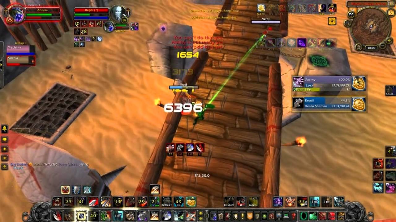 WARRIOR/PALADIN vs Lock/Shaman