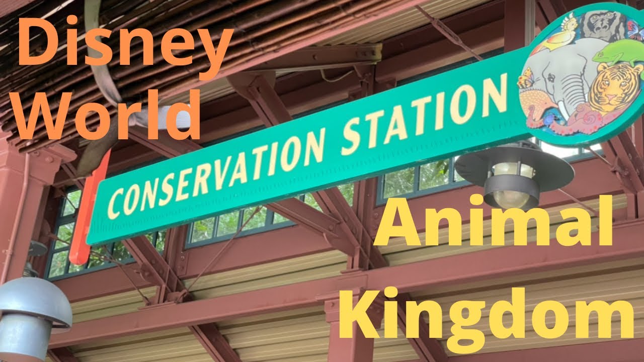Conservation Station in Disney World Animal Kingdom at Rafiki’s
