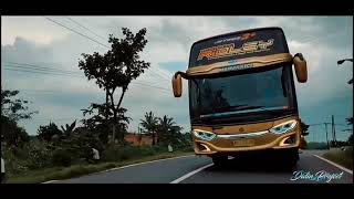 DJ Matame matame remix ||CINEMATIK BUS VIDIO