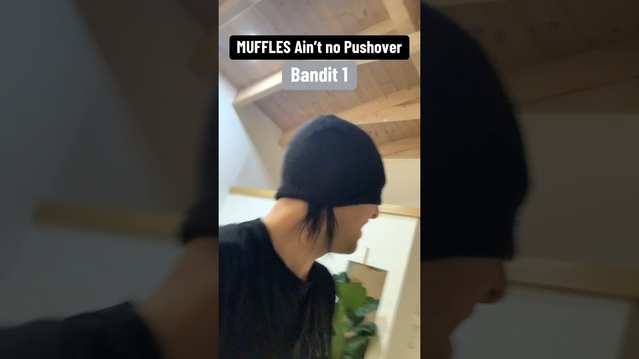 Говорите на приглушенном языке и носите большую палку (или что-то в этом роде) 