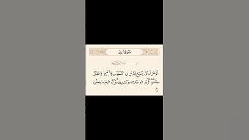 من سورة النّور(ألم تر أن اللّه يسبّح له،من في السّموات والأرض)🌿💓