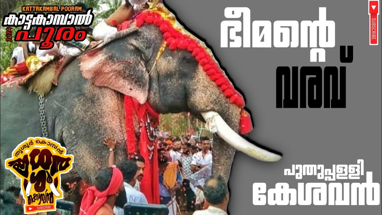 ഭീമാ 🔥 adichu keri vaa 🔥 || പുതുപ്പള്ളി കേശവൻ കുന്നത് കലാസമിതിയും 🔥 തീ ...