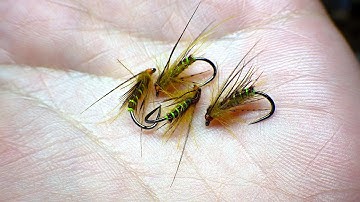 Tying a Top Dropper Caddis Pupa by Davie McPhail