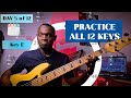 DAY5: LEARN HOW TO PLAY ALL 12 KEYS IN MUSIC | Beginners Basslesson 