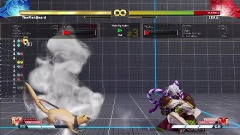 Zeku vs2 Ideas