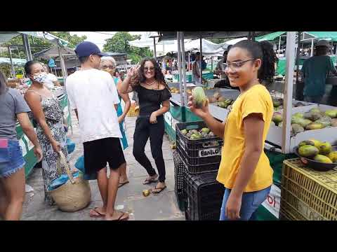 Feira Livre da Cidade de Várzea do Poço Bahia...