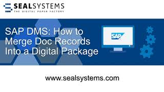 SAP DMS: How to Merge Doc Records Into a Digital Package screenshot 4