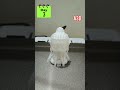 3D Printing Baby Buddha#shorts #3d #buddha #satisfying #viralshorts#3d #fyp#trending#3dprinter#viral
