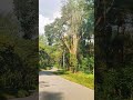 beauty #nature #music #travel #shortvideo #shorts #mangaloreanfamily #love #beautiful #views