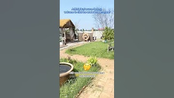 SnailTurf Artificial Grass: Quick Installation Guide#artificialgrass #diy #fakegrass #diyhomedecor