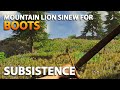 COUGAR SINEW for BOOTS and Sweater | Subsistence Gameplay | S4 EP10
