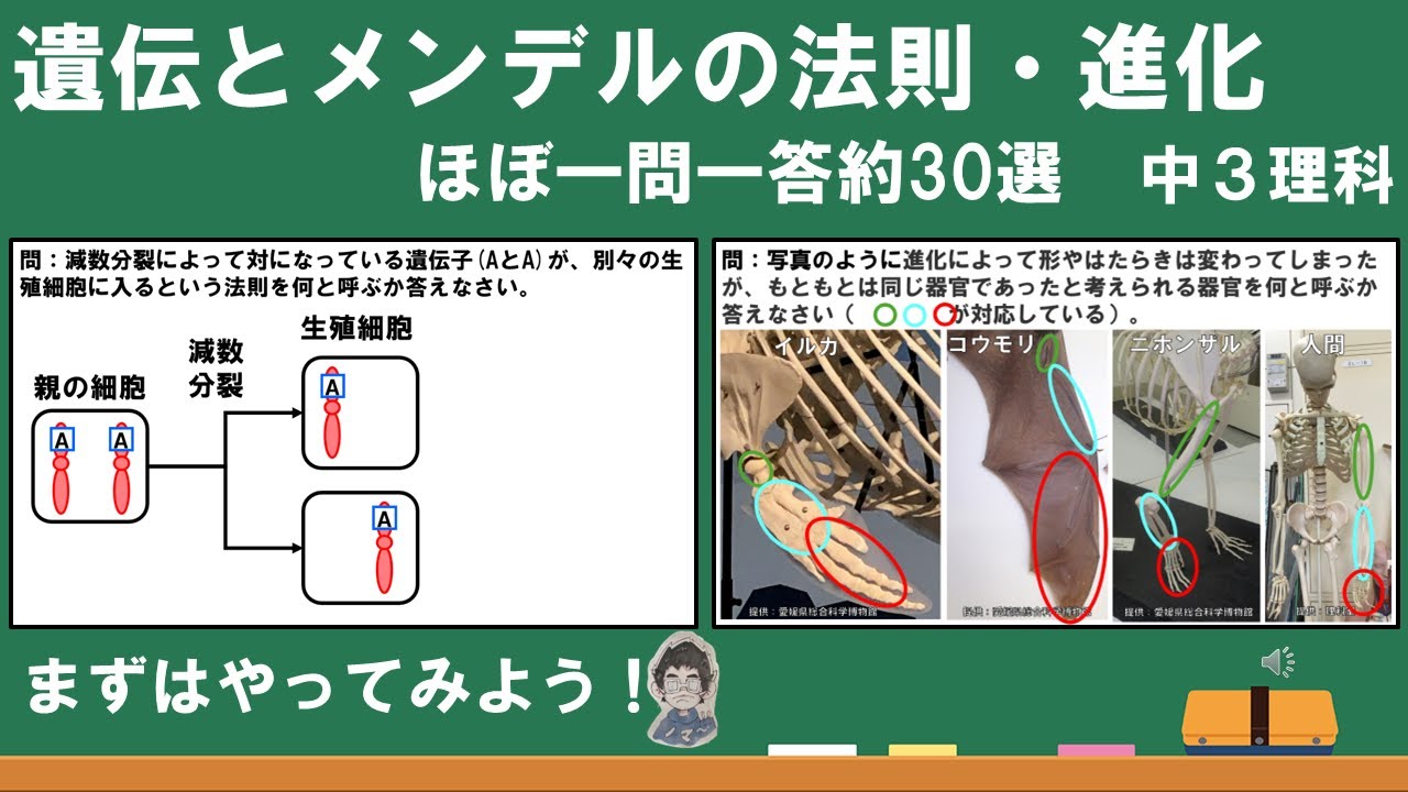 一問一答】中3生物3 遺伝とメンデルの法則・進化 - YouTube