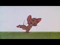 Tom And Jerry Episode 151 Catty Cornered Part 1 