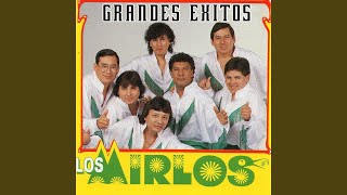 Video thumbnail of "Los Mirlos - El Abandonado"