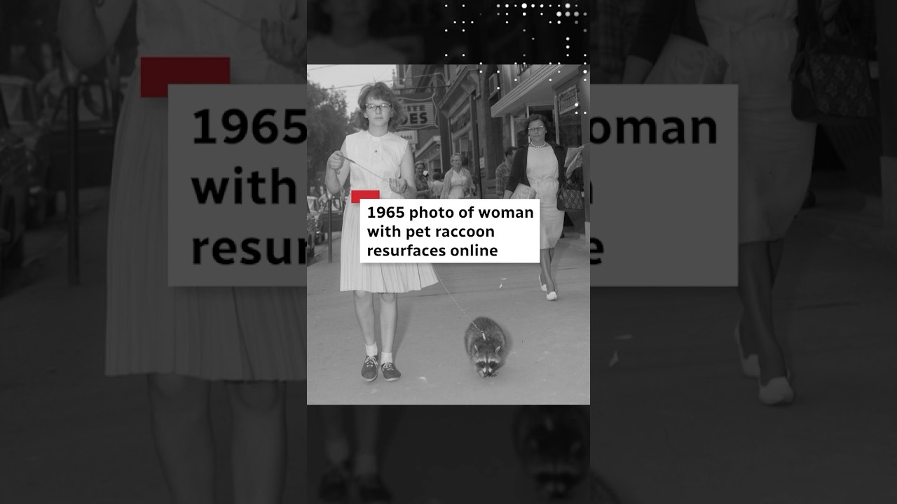 1965 photo of woman with pet raccoon resurfaces online