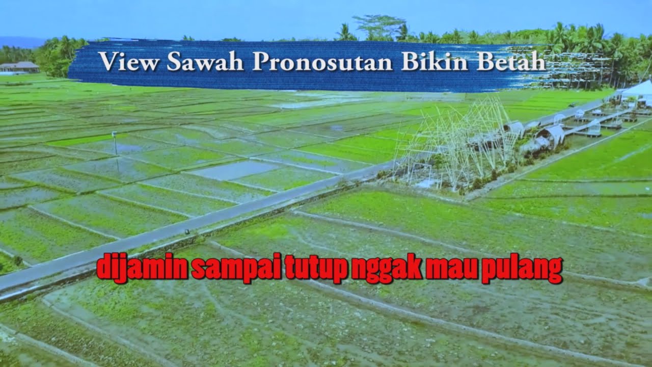 Progo View Geblek Pari Kulon Progo View Sawah Latar Bukit Menoreh Lebih Mahal ...