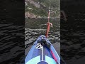 Рыбалка на кальмара с sup board у берегов острова Елены. Август 2020г.