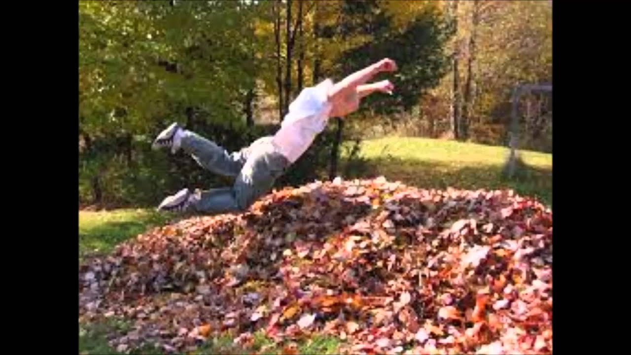 Fall definition. Pile of leaves. Falling. Fall on the ground. Jump into a Leaf pile.