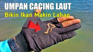 Umpan Mancing Dasaran Di Laut Agar Dapat Ikan Banyak screenshot 2