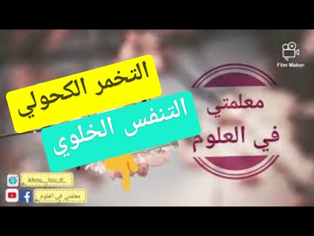 الدرس 6 في العلوم للسنة الرابعة متوسط التخمر الكحولي و التنفس الخلوي عند فطر الخميرة Youtube