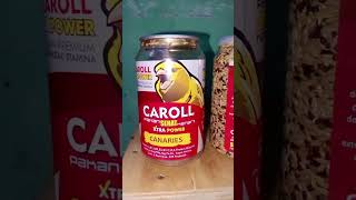 Pakan Burung Kenari Bagus? Banyak yang Pakai CAROLL Ini 😳🔥