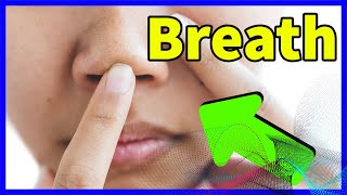 Olbas Inhaler Aromatherapyaromatic Inhaler, 0.01 Oz, 3-Pack