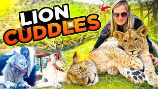 CUDDLING WITH LIONS?!