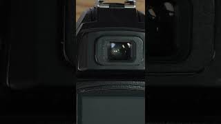 Nikon D70 Specs Review in 50 Seconds