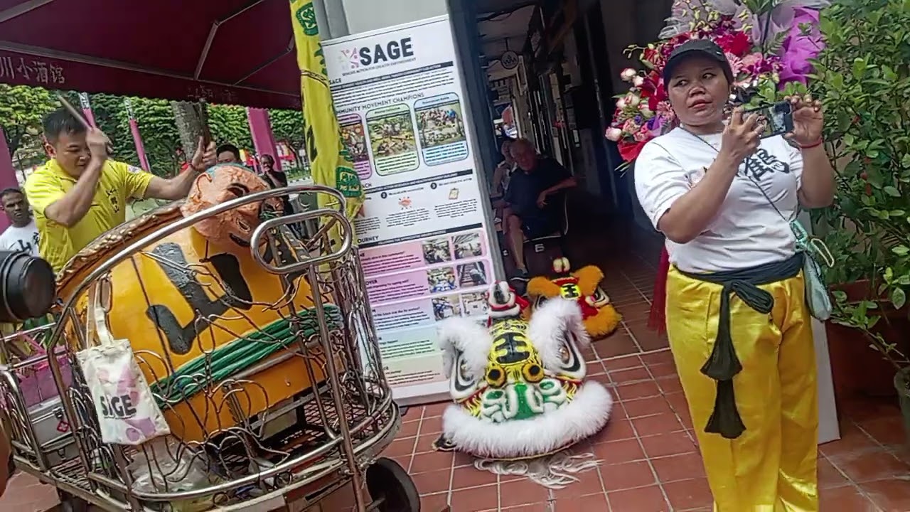 liondance at Chinatown 