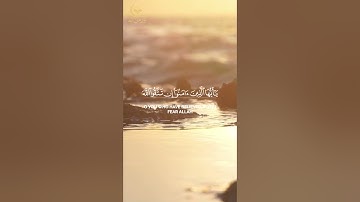 ⚠️ يا أيها الذين آمنوا لا تخونوا الله والرسول | تلاوة مؤثرة من سورة الأنفال بصوت محمد المكيمي 📖