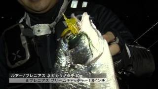 いつでも釣り気分！】#162 高感度が生み出す比類なき愉しさ！淀川の