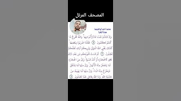 سورة البقرة من الآية (٧٢-٧٤) محمد أحمد أبوغنيمة #القرآن_الكريم #المصحف-المرتل