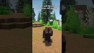 POV: Ich weil du noch nie auf Surnex warst.. #shorts #minecraft #citybuild #gaming #german #trending