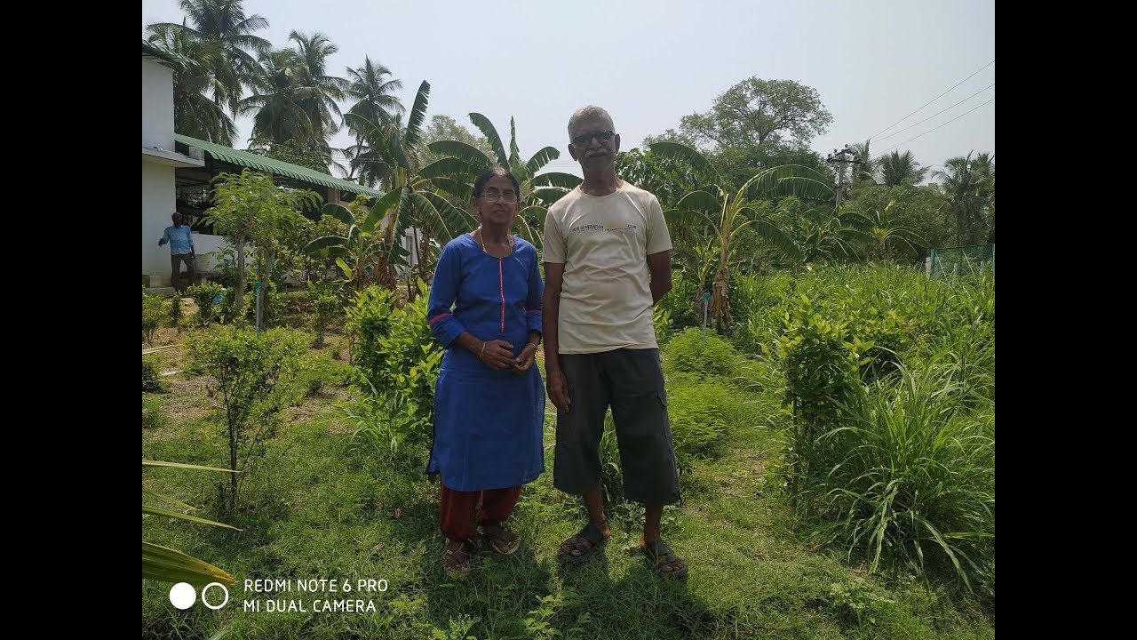 7.தினமும் வருமானம் தரும் பல பயிர் பண்ணையம் / Sustainable farming Five Layer farming part   7