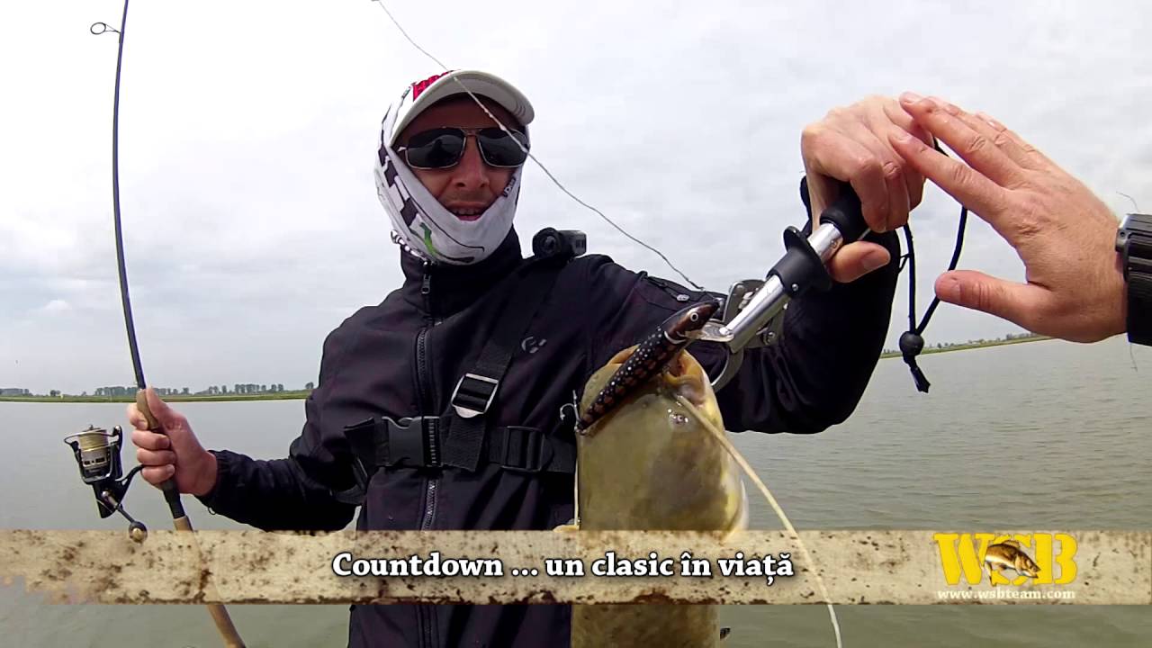 Pescuit la răpitori cu WSB pe Sacoșu Turcesc