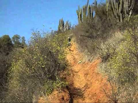 Downhill Melipilla: Pablo Vergara - Mauricio Rique...