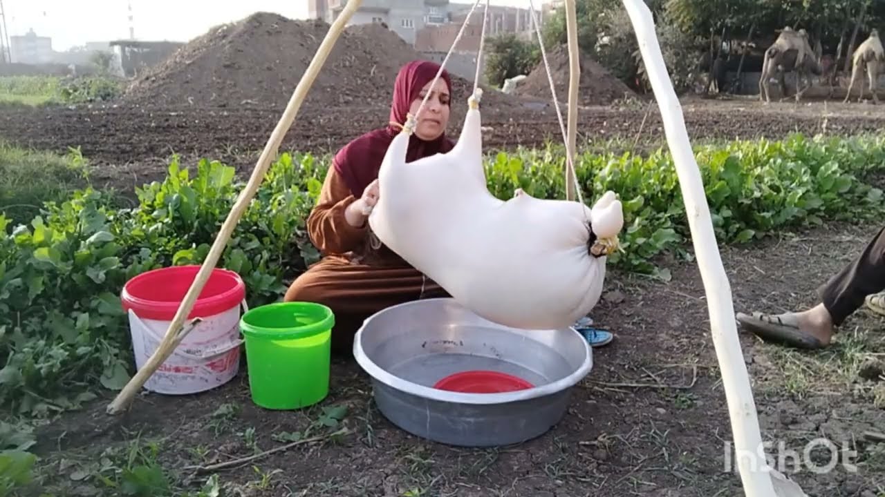 #خض #الشكوه#حياه اهل الريف #نفخ الشكوه وسط أجواء ريفيه😍