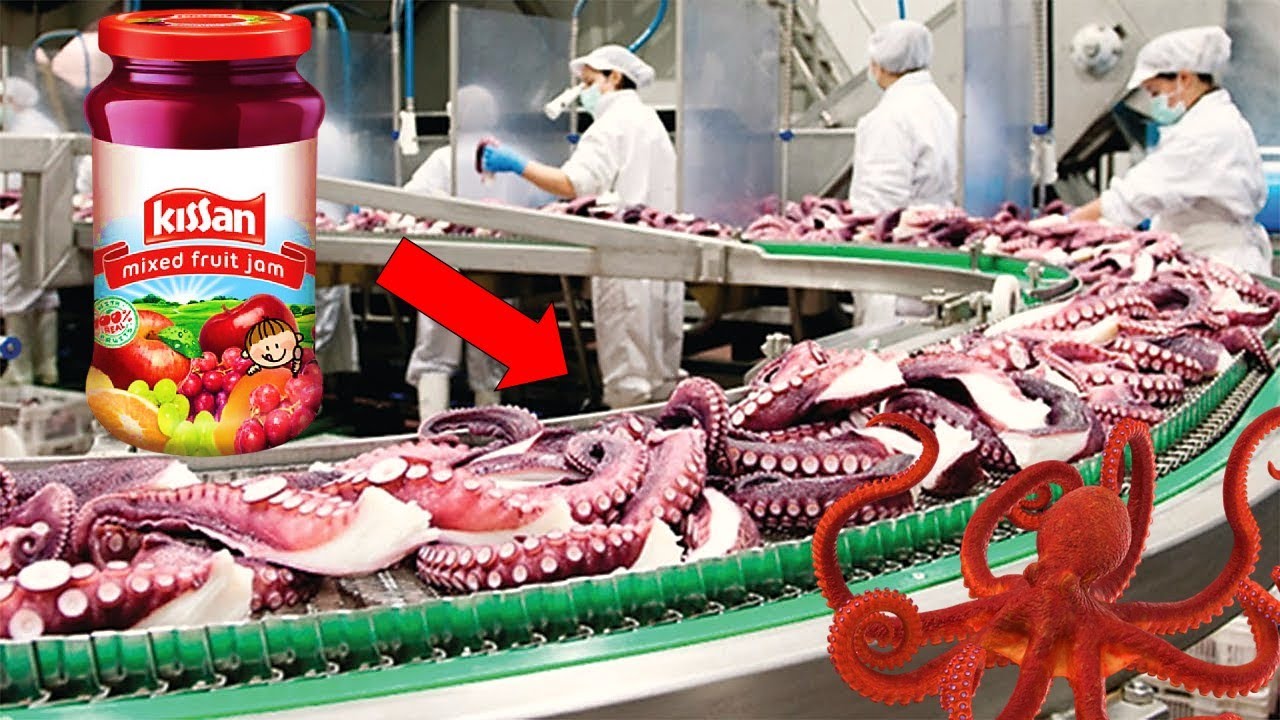 इस तरह फेक्ट्री में बनता है किसान जैम Kissan JAM Making Factory Production YouTube