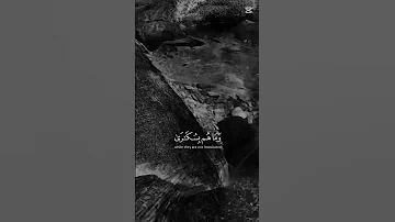 Quran اكسبلور Allah دويتو بدون حقوق Duet Foryou تيك توك Islamic Video لايك المصحف العظم 