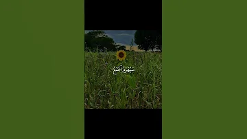 القارئ احمد النفيس السورة القمر Reciter Ahmad Alnufais Surah Al Qamr Quran المصحف 