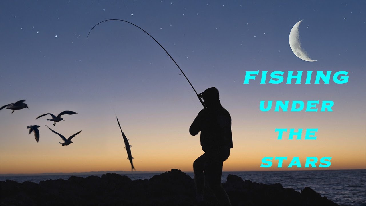 Wild Food Challenge! Od ribolova do večerje