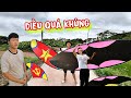 Đức Quang Vlog Đến Tận Nhà Mua Chiếc Diều 8 Mét Lắp Sáo Chuông Cực Vip 
