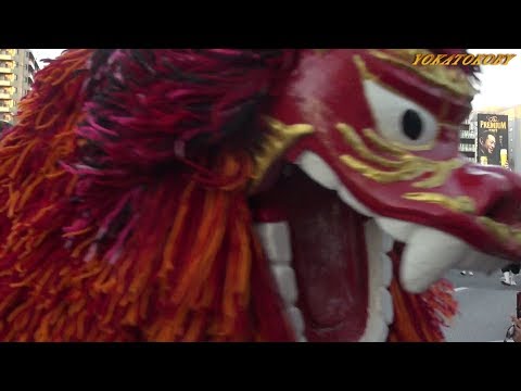 一般どんたく隊４（博多笑い塾 幸福の科学 随兵肥後一会 ふくこい 琉球國祭り太鼓 粕屋町どんたく隊）博多どんたく港まつり　どんたく広場パレード⑬
